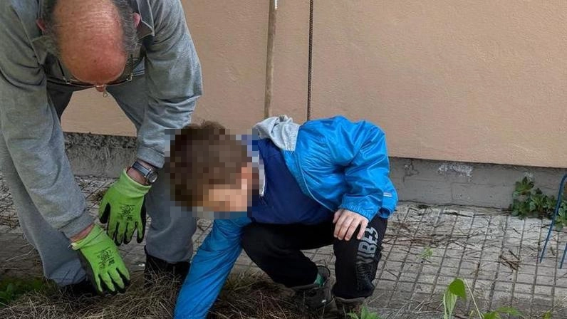 Distrutto l’orto dei bimbi, rabbia e incredulità: “Com’è possibile?”