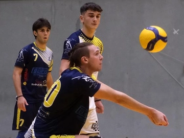 immagine articolo