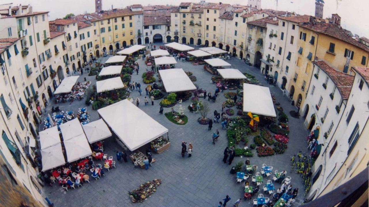 Le locazioni brevi e turistiche esercitate in forma imprenditoriale, a partire dal 2 novembre 2024, avvisa il Comune, devono essere... Le locazioni brevi e turistiche esercitate in forma imprenditoriale, a partire dal 2 novembre 2024, avvisa il Comune, devono essere...
