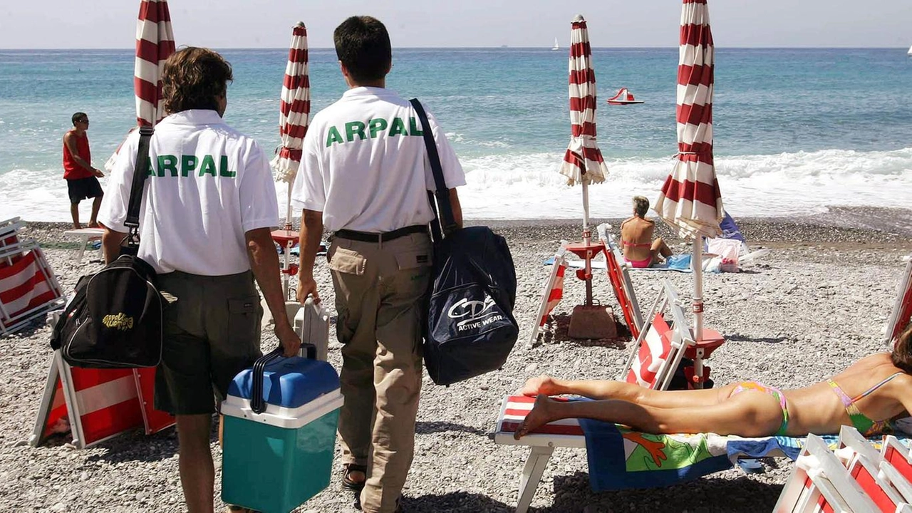 Il presidente della coop dei miticoltori rileva cambiamenti dovuti al surriscaldamento. La capitaneria di porto: "Nessuno specchio acqueo interdetto nella nostra provincia". Il presidente della coop dei miticoltori rileva cambiamenti dovuti al surriscaldamento. La capitaneria di porto: "Nessuno specchio acqueo interdetto nella nostra provincia".