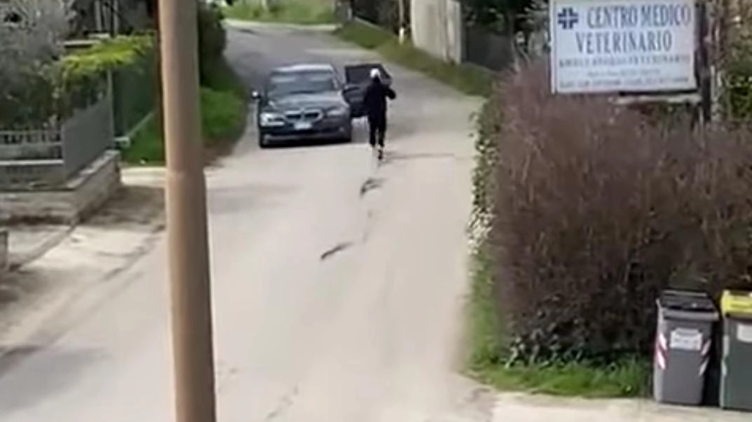 L’auto che attendeva il gruppetto di ladri per la fuga: dagli accertamenti è emerso che la targa apparteneva a un’utilitaria risultata rubata L’auto che attendeva il gruppetto di ladri per la fuga: dagli accertamenti è emerso che la targa apparteneva a un’utilitaria risultata rubata