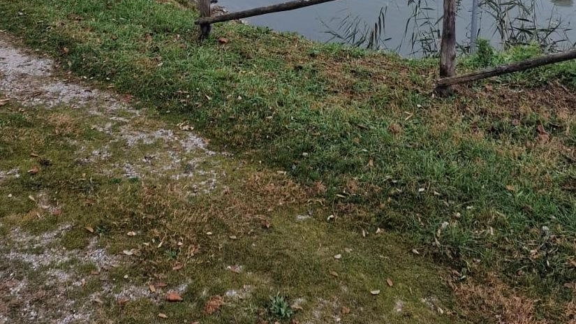Pubblicato il bando per la concessione dei quattro pontili galleggianti Pubblicato il bando per la concessione dei quattro pontili galleggianti