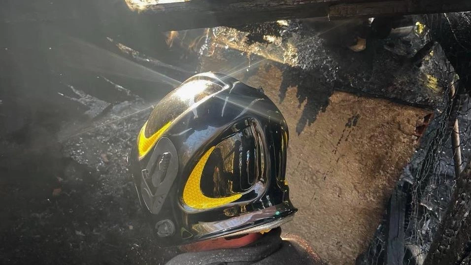 Altri “quattro zampe“ restano feriti. Vigili del fuoco in azione a ridosso della statale e in via del Bottagnone Altri “quattro zampe“ restano feriti. Vigili del fuoco in azione a ridosso della statale e in via del Bottagnone