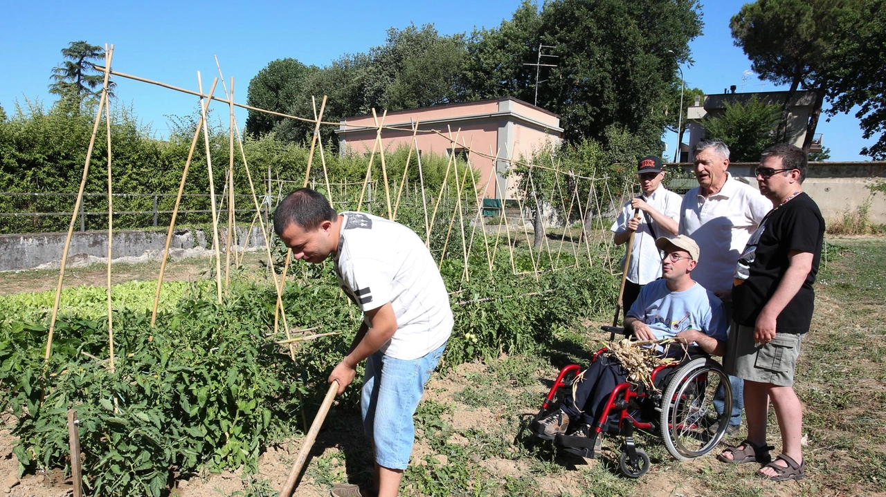 Il Cui, punto di riferimento per i giovani con disabilità, continua a gestire Villa Doney. Nei giardini vengono curati gli orti come attività inclusiva e formativa Il Cui, punto di riferimento per i giovani con disabilità, continua a gestire Villa Doney. Nei giardini vengono curati gli orti come attività inclusiva e formativa