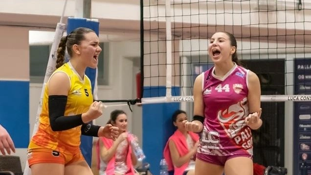 Maremmane stasera in campo