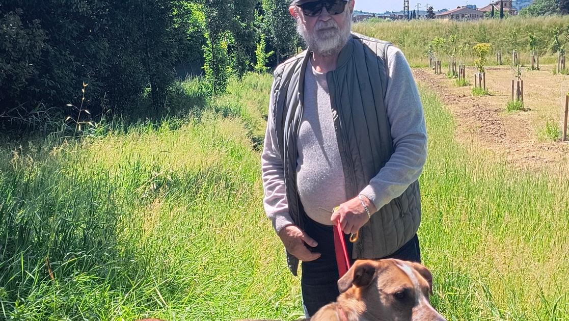 Allarme cinghiali nel parco. Attacchi in pieno giorno: "Il mio cane mi ha salvato" Allarme cinghiali nel parco. Attacchi in pieno giorno: "Il mio cane mi ha salvato"