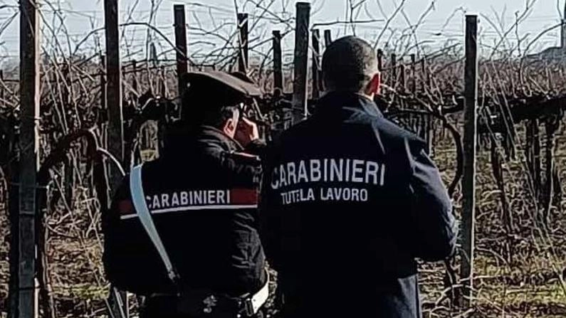 Caporalato e sfruttamento. Arrestato il ’datore di lavoro’ . Inchiesta partita da una denuncia