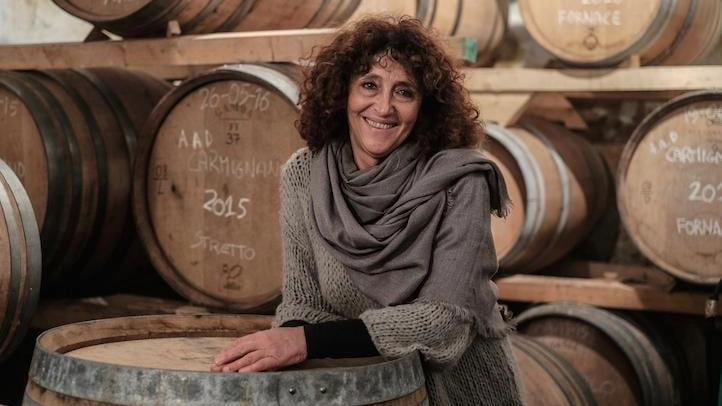 Rossella Bencini Tesi della Fattoria di Bacchereto