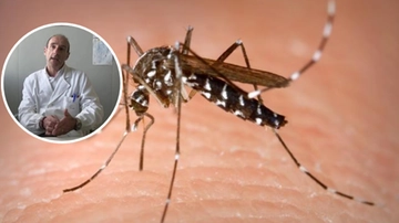 Febbre Dengue. Il virologo: “Ecco i sintomi che la distinguono dall’influenza”