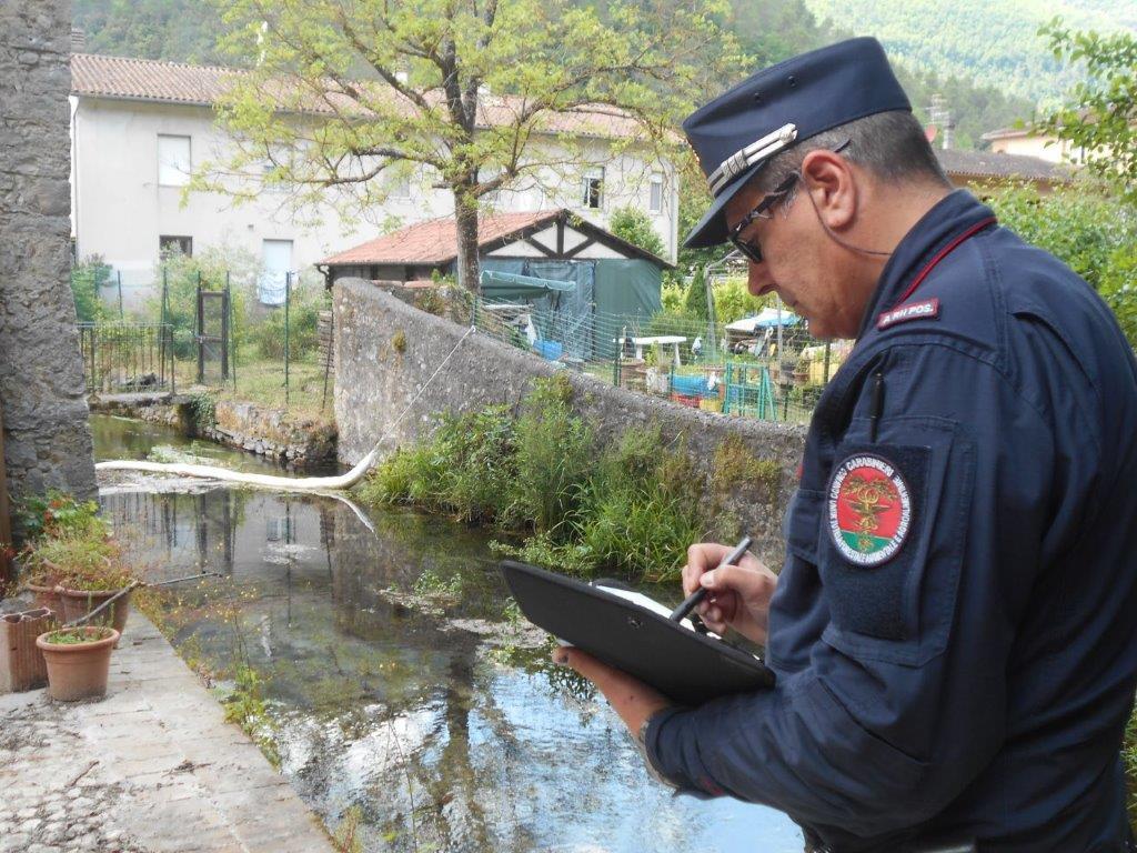sversati nel canale 100 litri di gasolio imprenditore e dipendente nei guai da Lanazione.it sversati nel canale 100 litri di gasolio imprenditore e dipendente nei guai