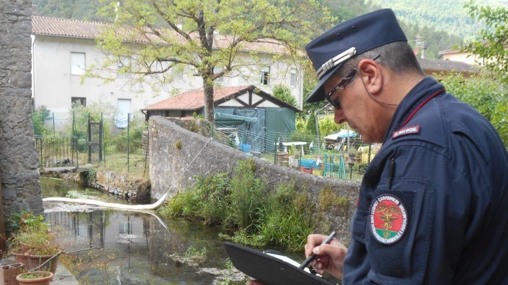 Operazione dei carabinieri forestali che hanno anche coordinato la bonifica del canale. Fiumarella, affluente del. Nera Operazione dei carabinieri forestali che hanno anche coordinato la bonifica del canale. Fiumarella, affluente del. Nera