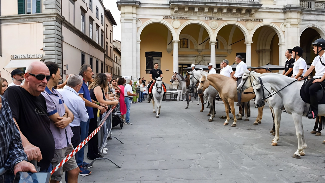La sfilata nel centro storico di Città di Castello è stato un momento importante e partecipato dell’edizione 2024 della ’Mostra del Cavallo’ La sfilata nel centro storico di Città di Castello è stato un momento importante e partecipato dell’edizione 2024 della ’Mostra del Cavallo’