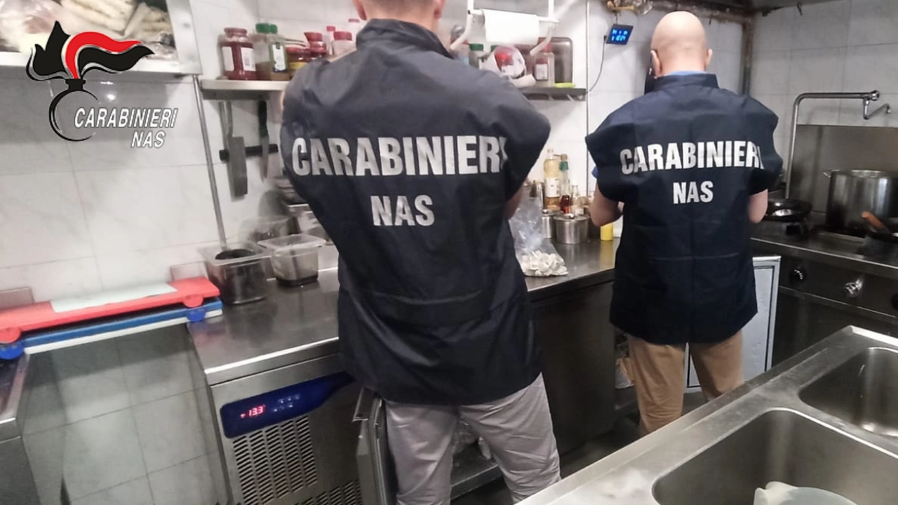 Locale chiuso a Pisa dopo il blitz dei Nas, 7,mila euro di multe