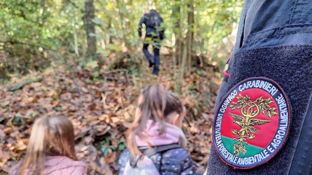 Bella iniziativa organizzata dal Wwf con i carabinieri del Reparto biodiversità di Siena nella riserva di Montecellesi alle porte del capoluogo Bella iniziativa organizzata dal Wwf con i carabinieri del Reparto biodiversità di Siena nella riserva di Montecellesi alle porte del capoluogo