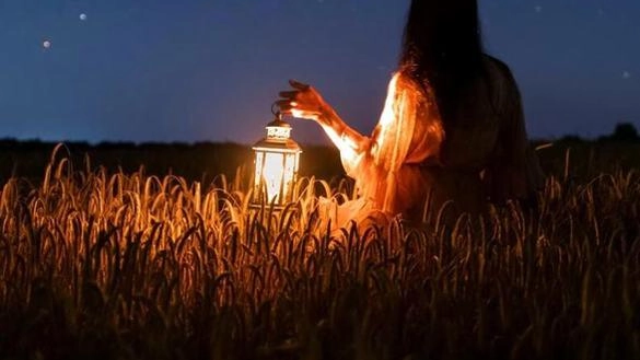 La notte più stellata dell’anno Col naso all’insù a caccia di desideri San Lorenzo tra concerti, cene e degustazioni. Occhio al cielo in compagnia degli astrofili La notte più stellata dell’anno Col naso all’insù a caccia di desideri San Lorenzo tra concerti, cene e degustazioni. Occhio al cielo in compagnia degli astrofili
