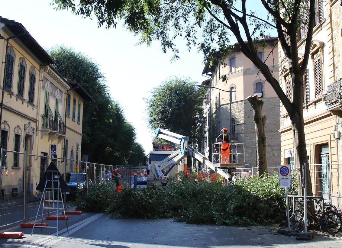 https://www.lanazione.it/image-service/view/acePublic/alias/contentid/NjFmYjA0NmMtYjQ4Ni00/0/giu-un-filare-di-alberi-rabbia-in-viale-giannotti-ora-e-bomba-di-calore.jpeg?f=1.91:1&w=1200