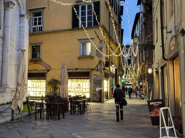 immagine articolo
