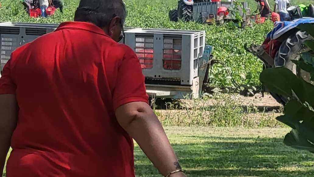 Oggi il vertice a Palazzo Donini: "Contributi solo alle aziende certificate" Oggi il vertice a Palazzo Donini: "Contributi solo alle aziende certificate"