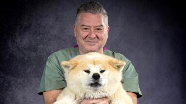 gli animali ci salvano il libro biografico di alberto brandi