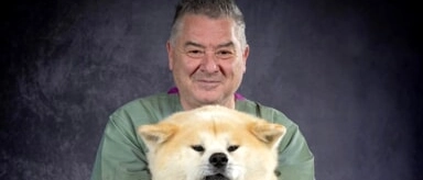 “Gli animali ci salvano”, il libro biografico di Alberto Brandi