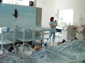 immagine articolo