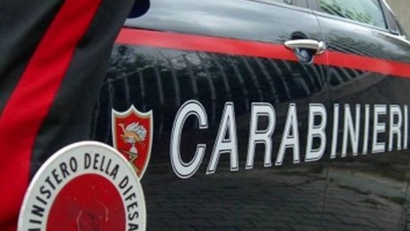 Le indagini dei carabinieri (Foto Ansa) Le indagini dei carabinieri (Foto Ansa)