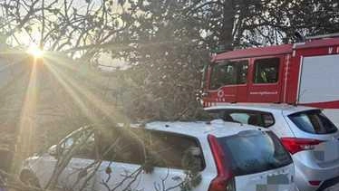 Sono stati sedici gli interventi eseguiti dai vigili del fuoco fra lunedì e martedì a causa del vento forte che... Sono stati sedici gli interventi eseguiti dai vigili del fuoco fra lunedì e martedì a causa del vento forte che...