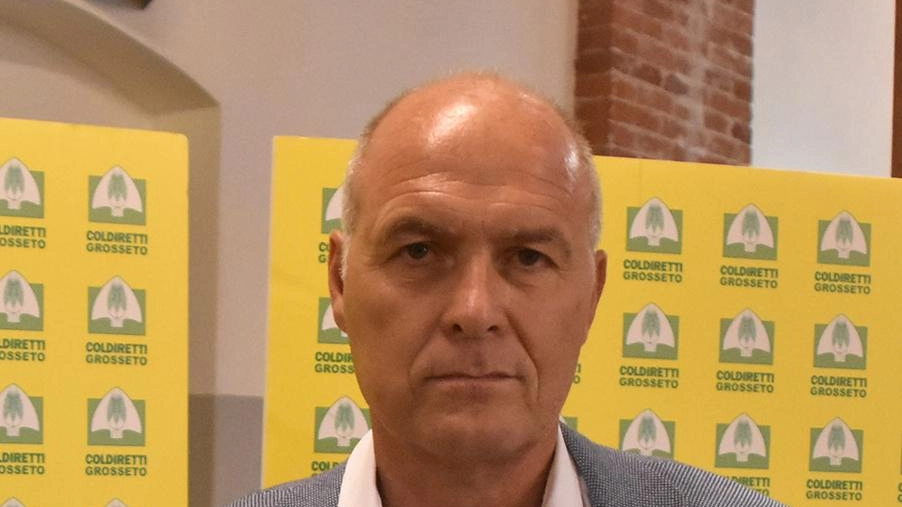 GROSSETO La Maremma è un’importante produttrice di eccellenza della tavola: l’olio extravergine Toscano Igp. I numeri possono testimoniare questo, infatti quasi...