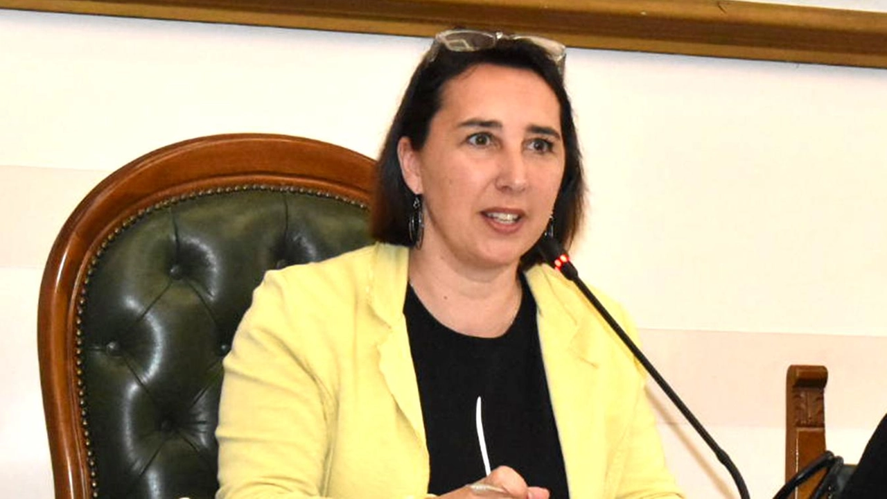 L’ex assessora Sara Minozzi: ieri si sono levate critiche per la sua rimozione L’ex assessora Sara Minozzi: ieri si sono levate critiche per la sua rimozione