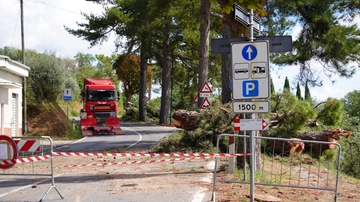 Montecatini, monitoraggio sugli alberi: 7 saranno abbattuti. “Controllo pianificato”
