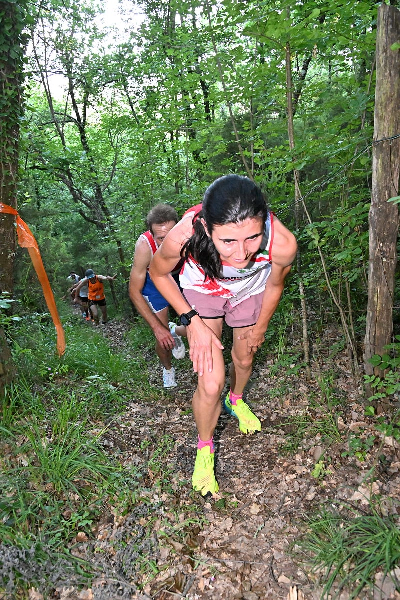immagine di sfondo 15