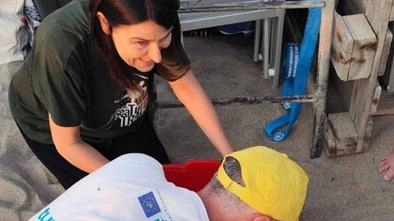 Novanta nuovi nati a Pisa. Non è un boom di natalità di noi bipedi, ma si avranno 90 nuovi "concittadini"...