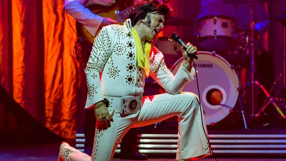 elvis elvis