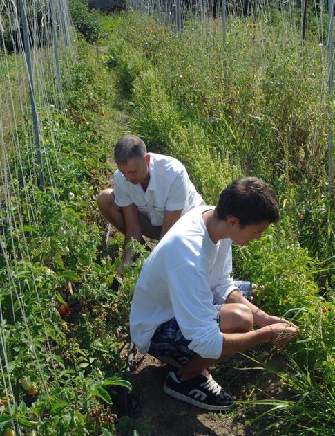 Rilancio delle aree rurali: "Un piano di interventi contro lo spopolamento" Rilancio delle aree rurali: "Un piano di interventi contro lo spopolamento"