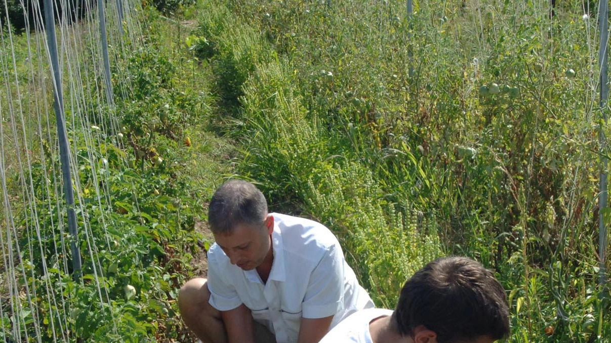 Dal Gal della provincia della Spezia tre milioni di finanziamenti. Ma alcuni progetti sono rimasti al palo. "Possiamo fare meglio". Dal Gal della provincia della Spezia tre milioni di finanziamenti. Ma alcuni progetti sono rimasti al palo. "Possiamo fare meglio".