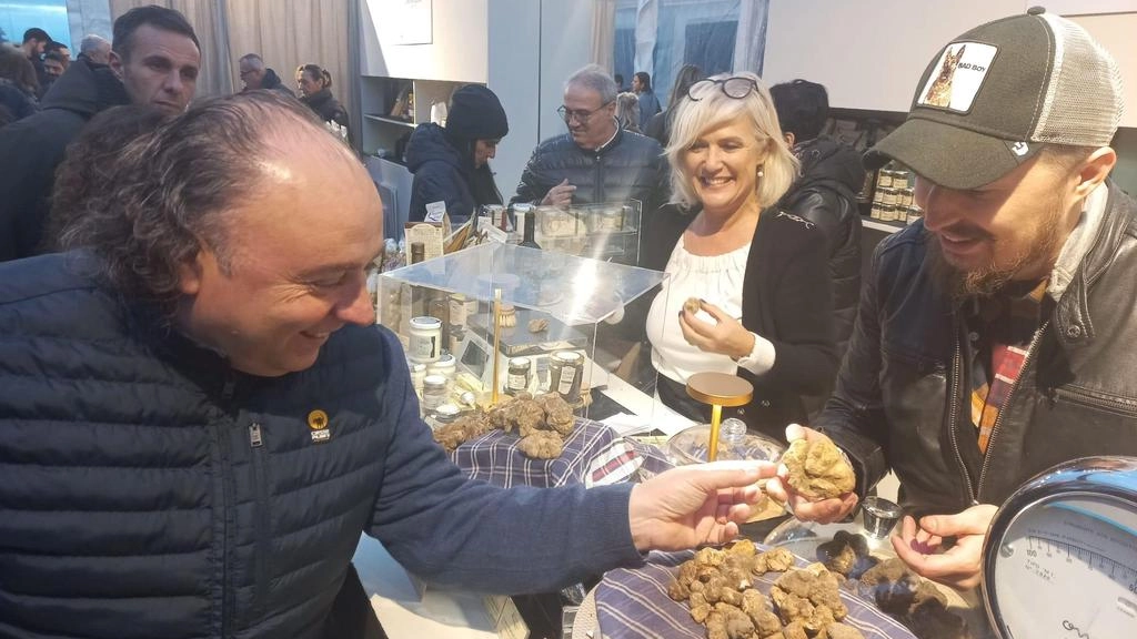 Il tartufo di San Miniato
