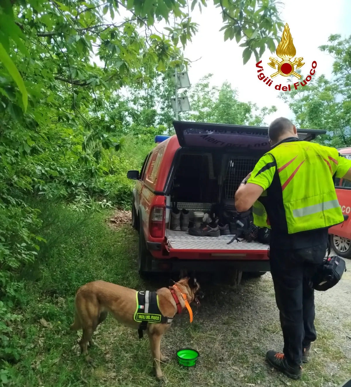 Due notti all’addiaccio nel bosco, poi il lieto fine: ritrovato l’84enne disperso a Zeri