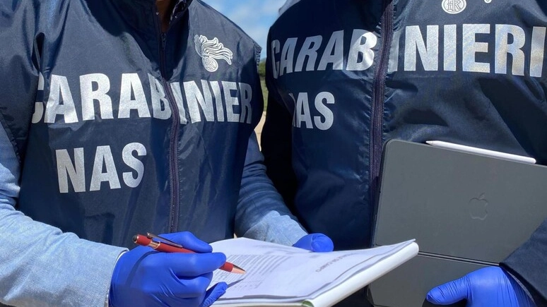 Operazione dei carabinieri del Nas di Livorno (foto archivio Ansa)
