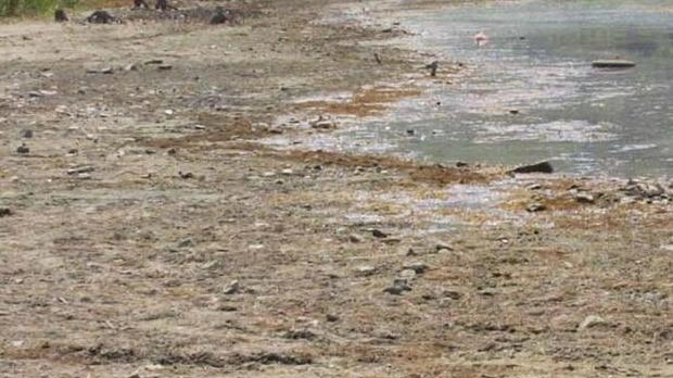 Allarme per le condizioni del lago Trasimeno: il livello delle acque preoccupa e si lavora per correre ai ripari Allarme per le condizioni del lago Trasimeno: il livello delle acque preoccupa e si lavora per correre ai ripari