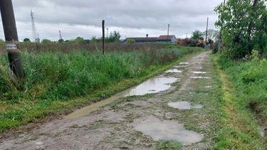 La strada per arrivare alla propria casa è diventata impraticabile. Federica Ciccone, residente a Pardossi in via del Ceppo, denuncia...