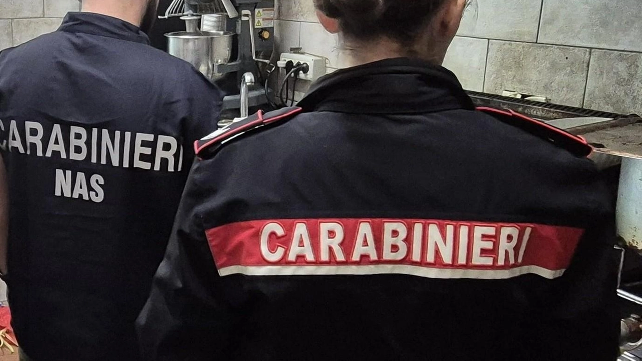 Blitz del Nas nel ristorante: attività chiusa e multata la titolare (foto di repertorio) Blitz del Nas nel ristorante: attività chiusa e multata la titolare (foto di repertorio)