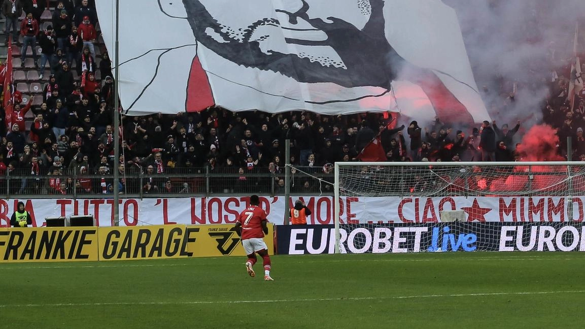 Il Comune approva la proposta di cointitolare la Curva Nord dello stadio Curi a Domenico “Mimmo” Pucciarini Il Comune approva la proposta di cointitolare la Curva Nord dello stadio Curi a Domenico “Mimmo” Pucciarini