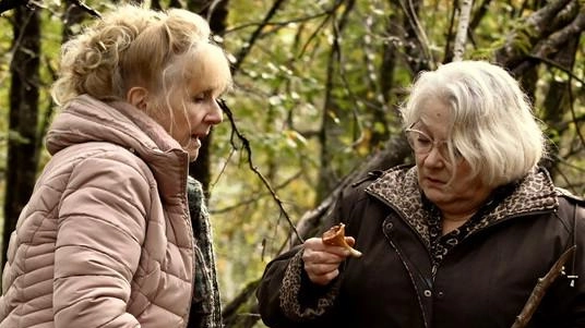 Al Terminale da vedere Sotto le foglie, l’ultimo film di Francois Ozon Una commedia - thriller. con Hélène Vincent e Josiane Balasko