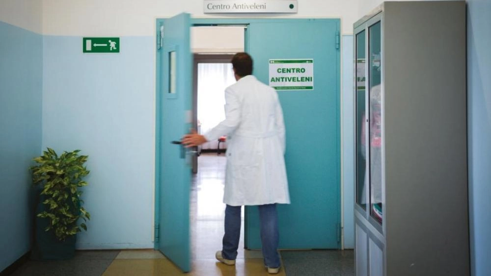 Le persono intossicate sono state visitate al pronto soccorso (Folto di repertorio) Le persono intossicate sono state visitate al pronto soccorso (Folto di repertorio)