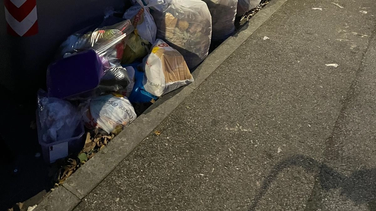 Alcuni sacchi di spazzatura fuori dai cassonetti: «Ci sono problemi anche nella raccolta»