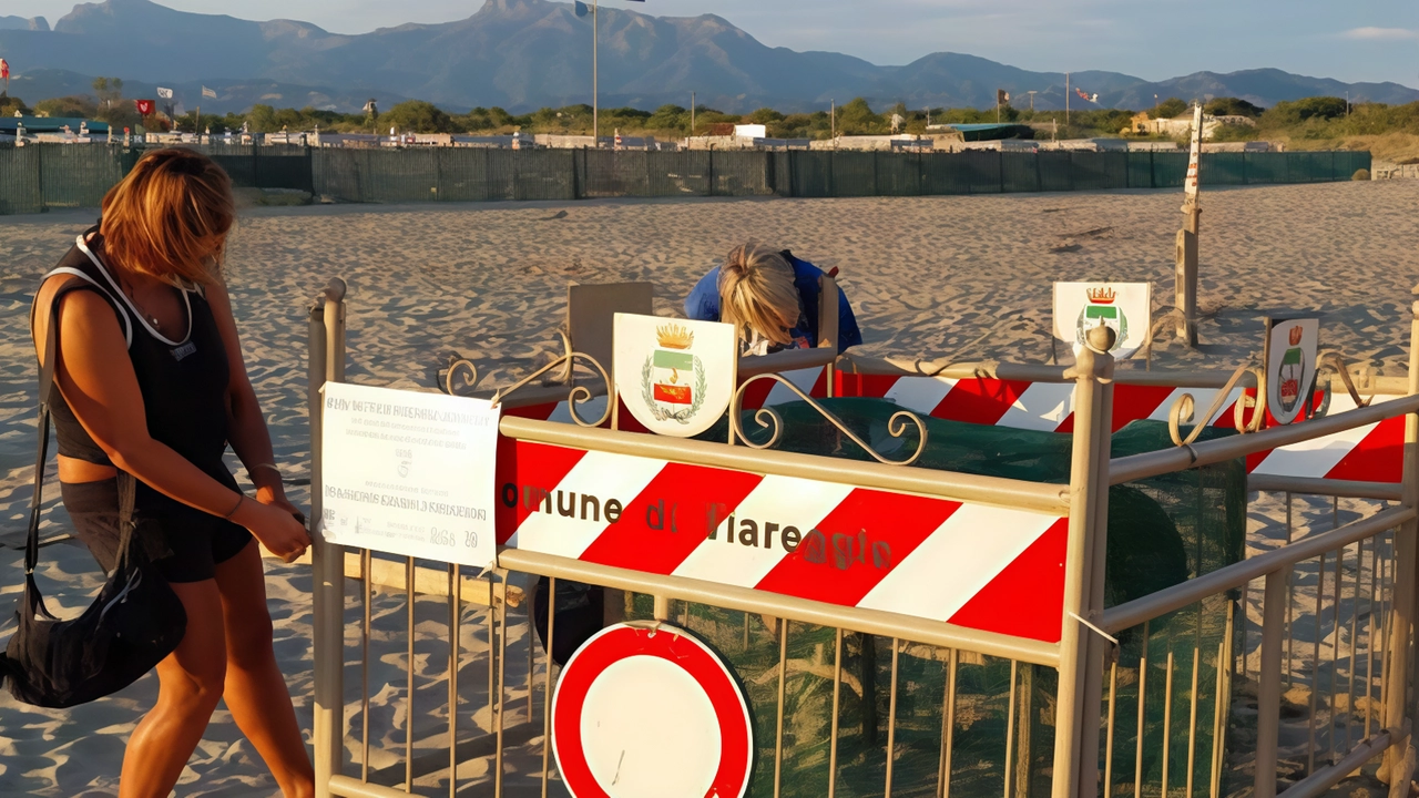 I volontari di Legambiente durante la costruzione delle protezione per il nido I volontari di Legambiente durante la costruzione delle protezione per il nido