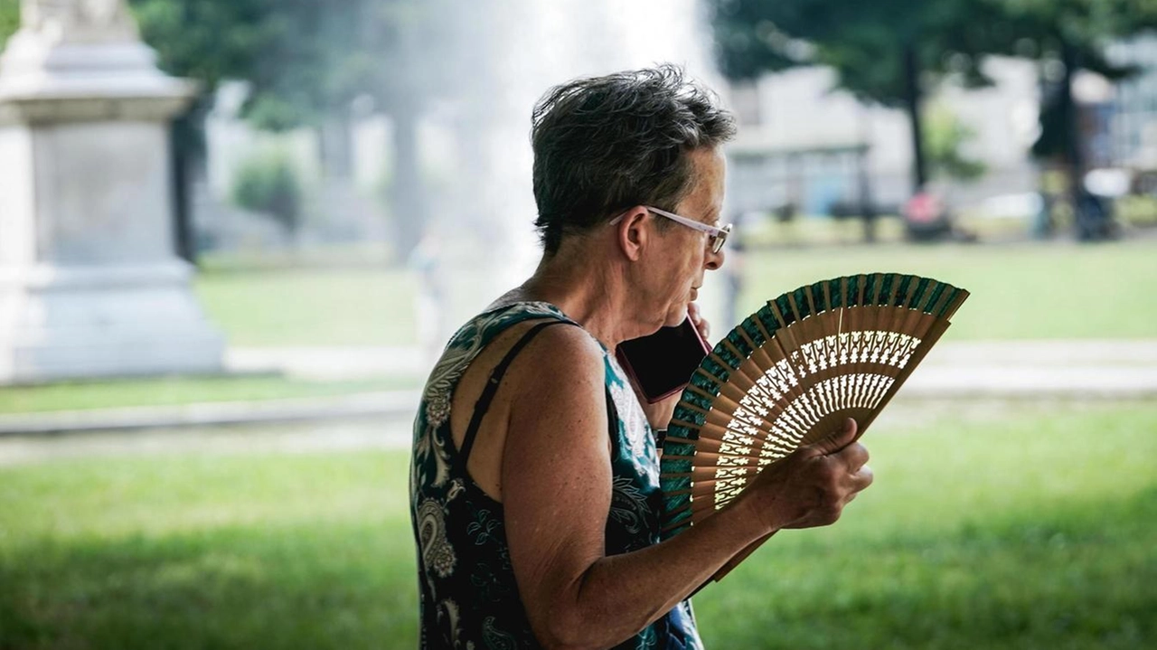 In 44 tra parchi, giardini e biblioteche della città sarà possibile trovare refrigerio dalla canicola estiva In 44 tra parchi, giardini e biblioteche della città sarà possibile trovare refrigerio dalla canicola estiva