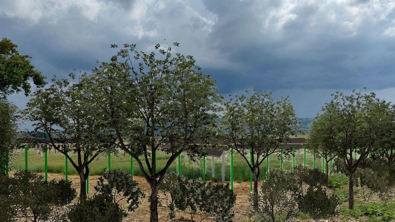 Marco Corsetti, ceo di Revalue Energies, e il progetto da 90 milioni per la piana di Rosia. "Le aziende agricole proseguiranno la loro attività".