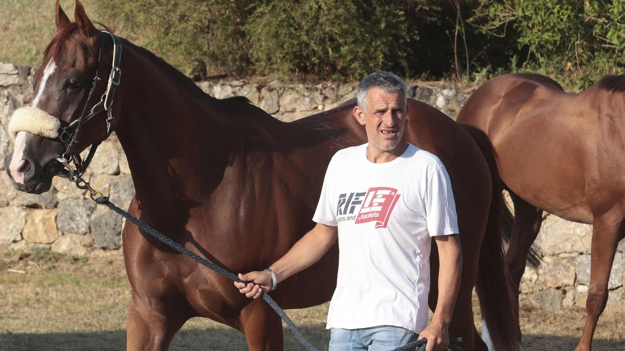 A sinistra Alessandro Chiti con il suo Veranu, cavallo che ha corso nell’Oca montato da Tittia e che potrebbe essere nel lotto anche ad agosto A sinistra Alessandro Chiti con il suo Veranu, cavallo che ha corso nell’Oca montato da Tittia e che potrebbe essere nel lotto anche ad agosto