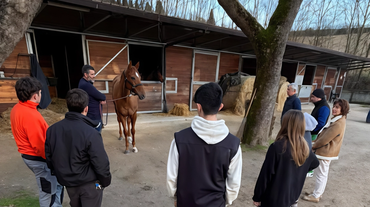 Attraverso la formazione specifica sul mondo del cavallo, viene offerto ai giovani. un interessante e poliedrico sbocco professionale Attraverso la formazione specifica sul mondo del cavallo, viene offerto ai giovani. un interessante e poliedrico sbocco professionale